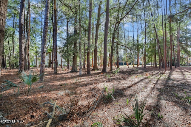 117 Summerton Dr, Bluffton, SC 29910 - photo 12