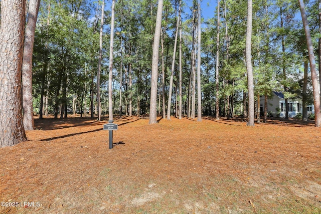 117 Summerton Dr, Bluffton, SC 29910 - photo 10