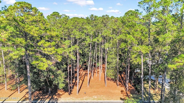 117 Summerton Dr, Bluffton, SC 29910 - photo 2