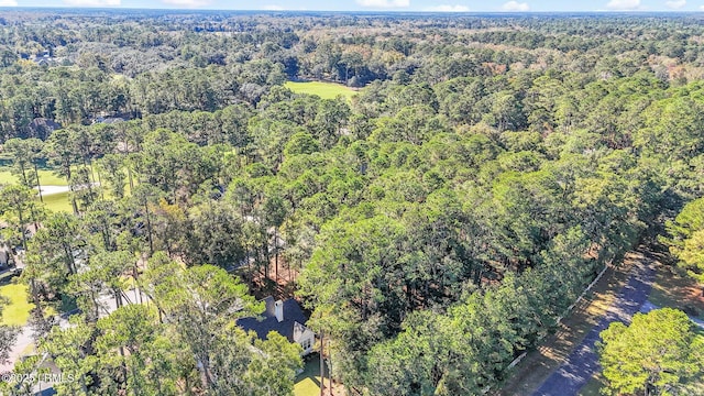 117 Summerton Dr, Bluffton, SC 29910 - photo 8