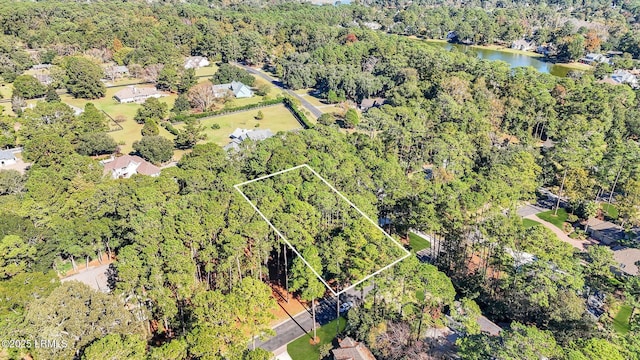 117 Summerton Dr, Bluffton, SC 29910 - photo 17