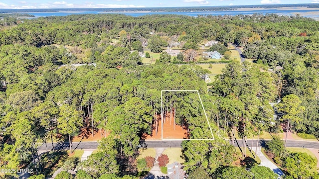117 Summerton Dr, Bluffton, SC 29910 - photo 14