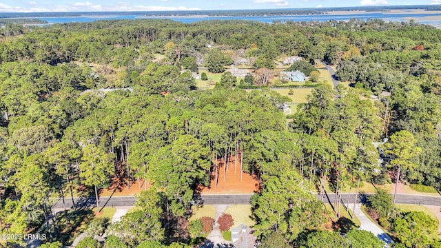 117 Summerton Dr, Bluffton, SC 29910 - photo 3