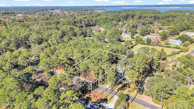 117 Summerton Dr, Bluffton, SC 29910 - photo 15