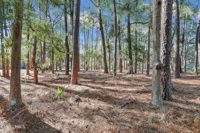 117 Summerton Dr, Bluffton, SC 29910 - photo 13