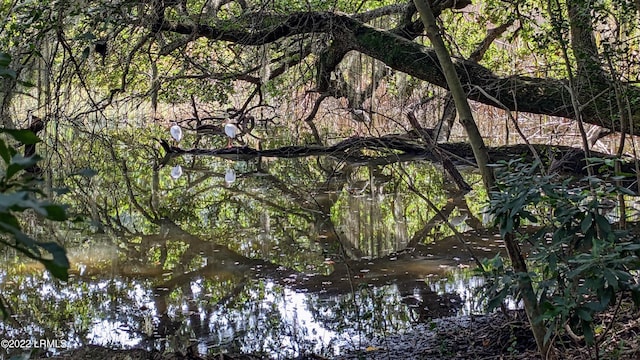 view of local wilderness with a water view