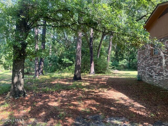 8 Taylor St, Beaufort, SC 29906 - view of yard