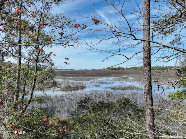 12 Timber Trl, Beaufort SC, 29907 land for sale