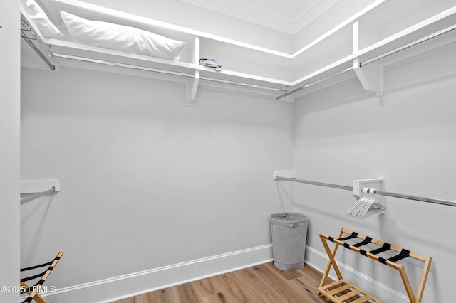7 Canton Row, Beaufort, SC 29906 - walk in closet with wood finished floors