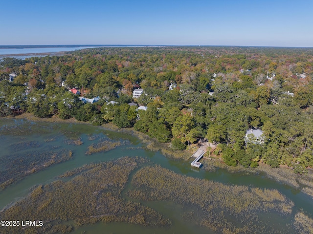 7 Canton Row, Beaufort, SC 29906 - aerial view of property and surrounding area with a forest and a large body of water