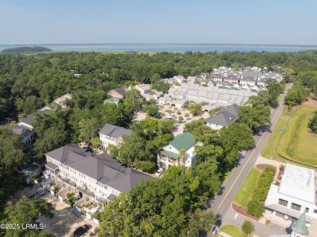 7 Canton Row, Beaufort, SC 29906 - aerial view of residential area featuring a nearby body of water and a forest