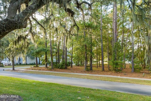 7 N Loudon, Beaufort, SC 29906
