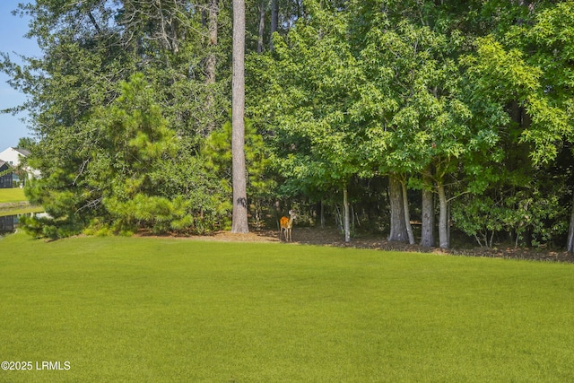204 Mystic Point Dr, Okatie, SC 29909 - photo 47