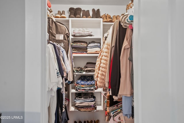 702 Center Dr W, Beaufort, SC 29902 - view of walk in closet
