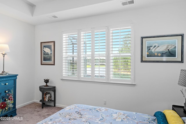 119 Sand Dollar Dr, Hardeeville, SC 29927 - photo 22
