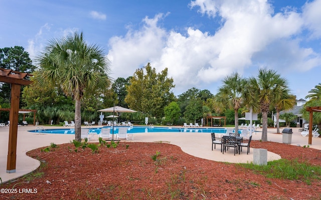 pool featuring a patio and a pergola