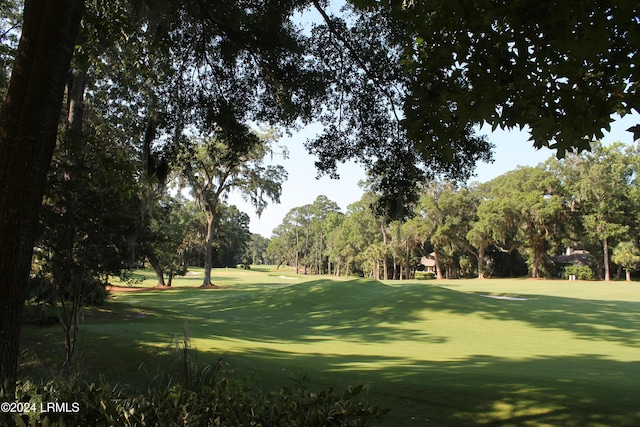 view of property's community featuring a yard