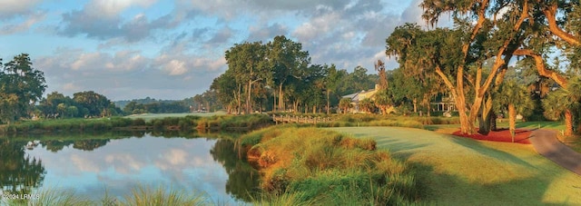 property view of water