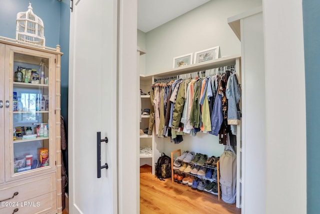 view of closet