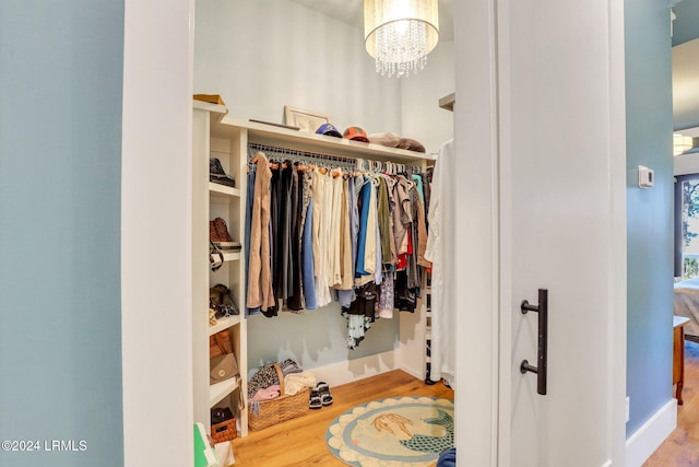 spacious closet featuring hardwood / wood-style floors