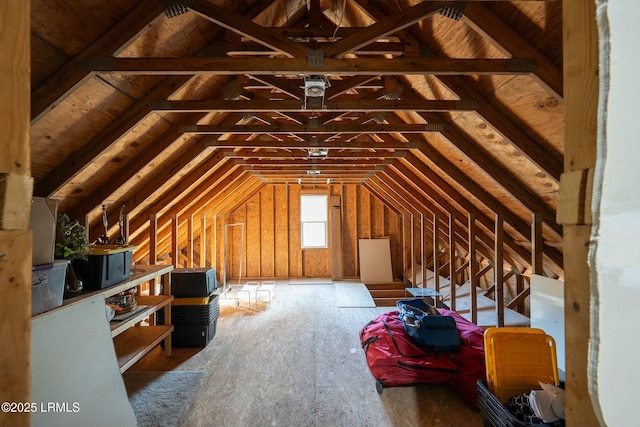 277 Pleasant Point Dr, Beaufort, SC 29907 - view of unfinished attic