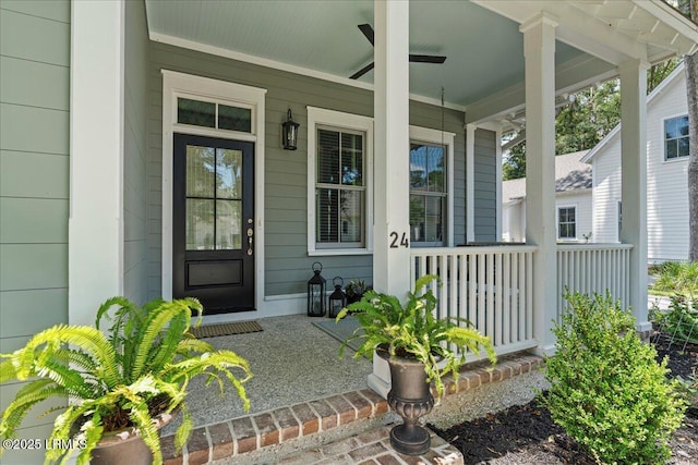 24 Botany Dr, Beaufort, SC 29907 - photo 3