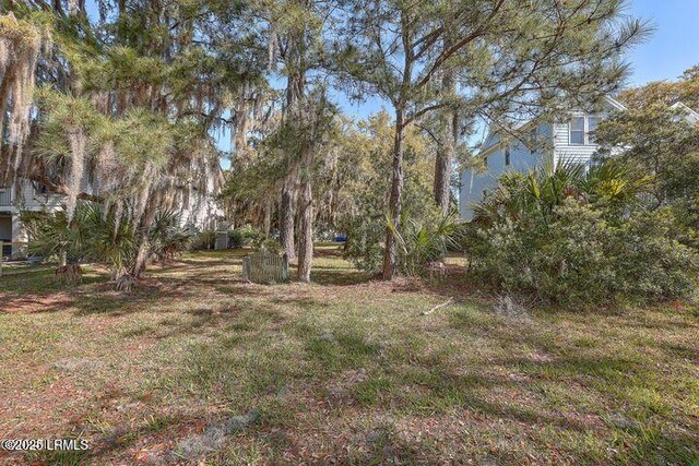 41 Petigru Dr, Beaufort, SC 29902 - photo 8
