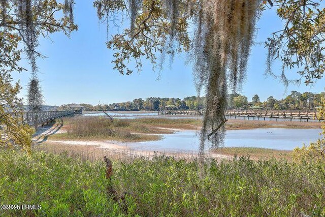 41 Petigru Dr, Beaufort, SC 29902 - photo 7