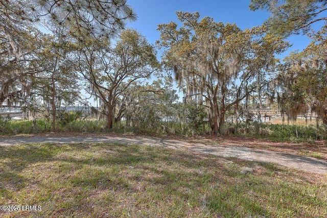 41 Petigru Dr, Beaufort, SC 29902 - photo 9