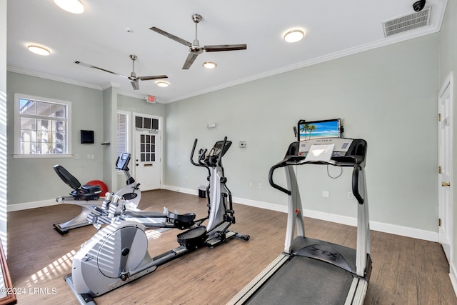 exercise area with crown molding, dark wood-type flooring, and ceiling fan