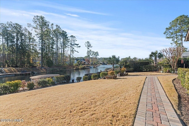 view of home's community with a yard and a water view