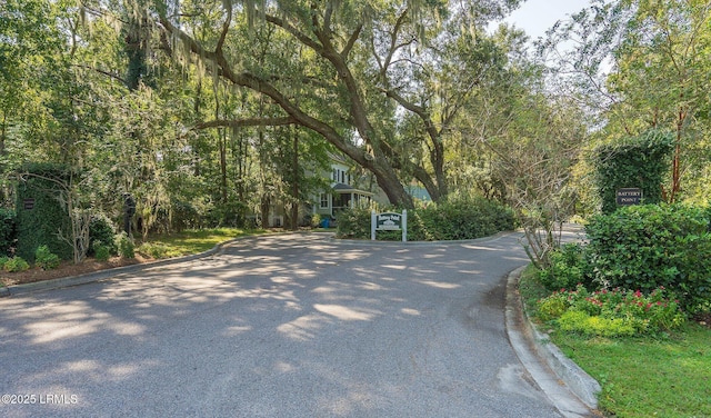 view of road with curbs