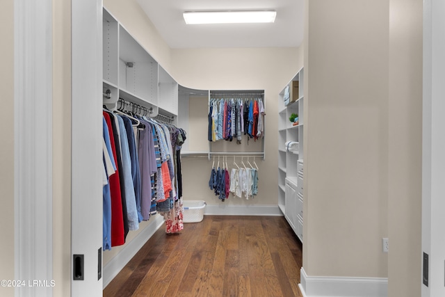 walk in closet with dark hardwood / wood-style flooring