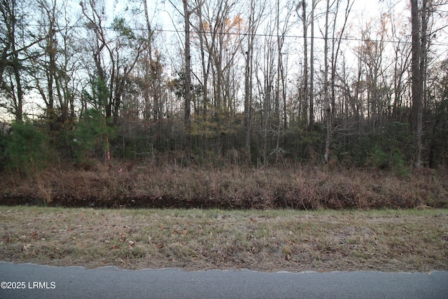 366 Big Estates Cir, Yemassee SC, 29945 land for sale