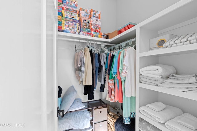 view of spacious closet