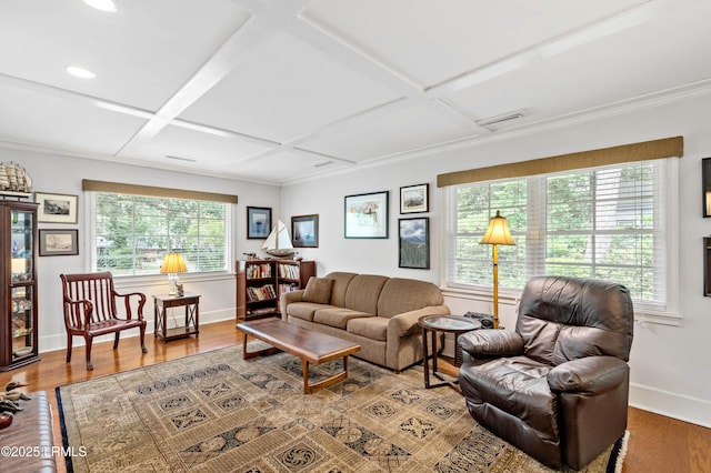 117 Elliott St, Beaufort, SC 29902 - living room featuring healthy amount of natural light, wood finished floors, baseboards, and coffered ceiling