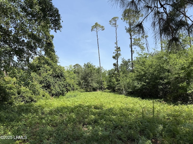 5 Caladium Ct, Hilton Head Island, SC 29926
