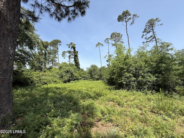 5 Caladium Ct, Hilton Head Island, SC 29926