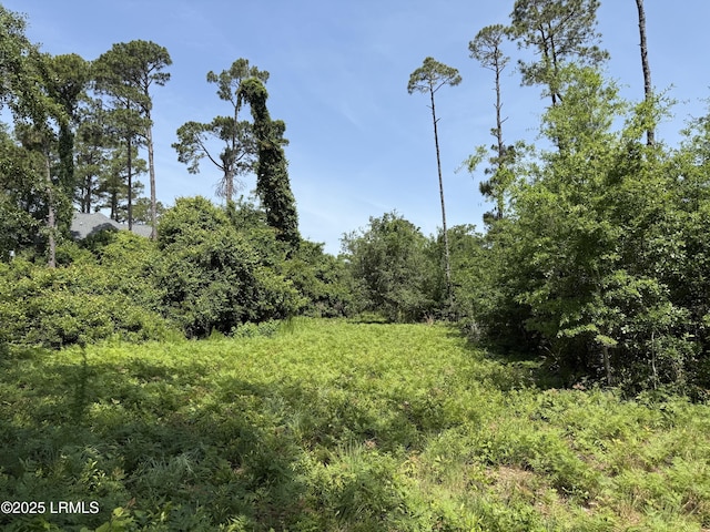 5 Caladium Ct, Hilton Head Island, SC 29926