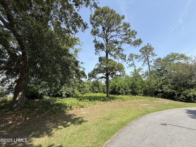 5 Caladium Ct, Hilton Head Island, SC 29926
