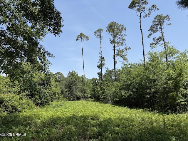 5 Caladium Ct, Hilton Head Island, SC 29926
