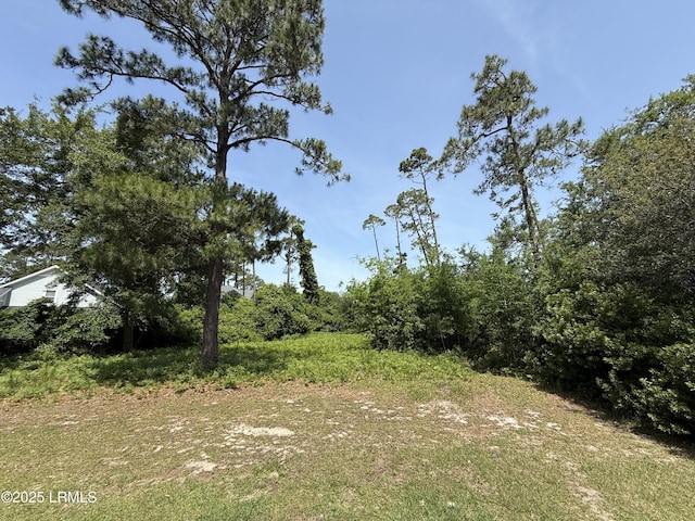 5 Caladium Ct, Hilton Head Island, SC 29926