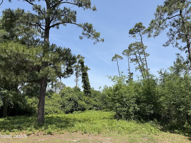 5 Caladium Ct, Hilton Head Island, SC 29926