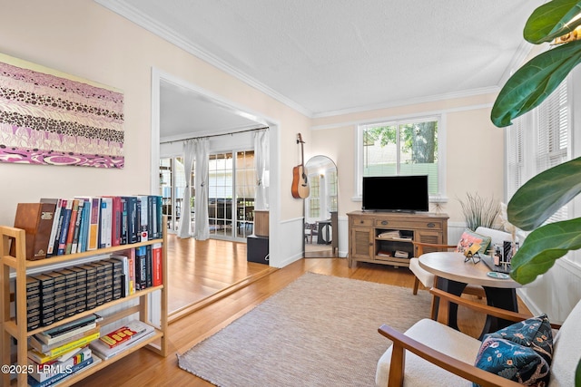 3 Stono Ct, Beaufort, SC 29902 - living area featuring ornamental molding, wood finished floors, and a textured ceiling