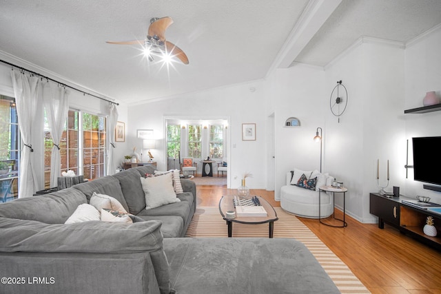 3 Stono Ct, Beaufort, SC 29902 - living area featuring a ceiling fan, wood finished floors, ornamental molding, lofted ceiling, and a textured ceiling