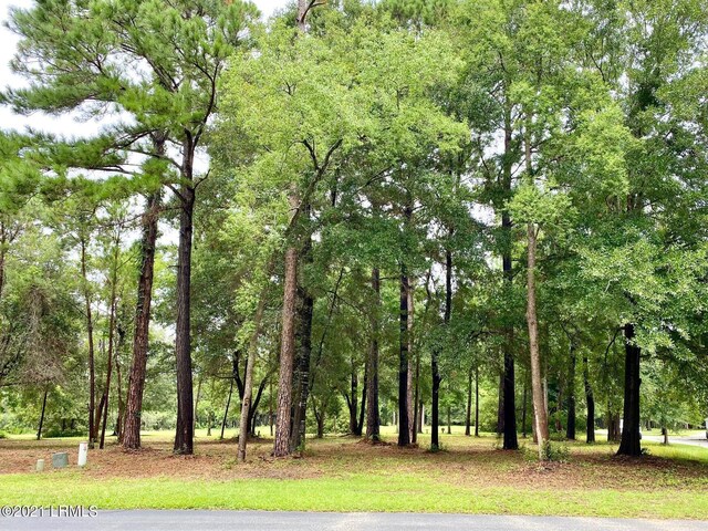 695 Distant Island Dr, Beaufort, SC 29907 - photo 8