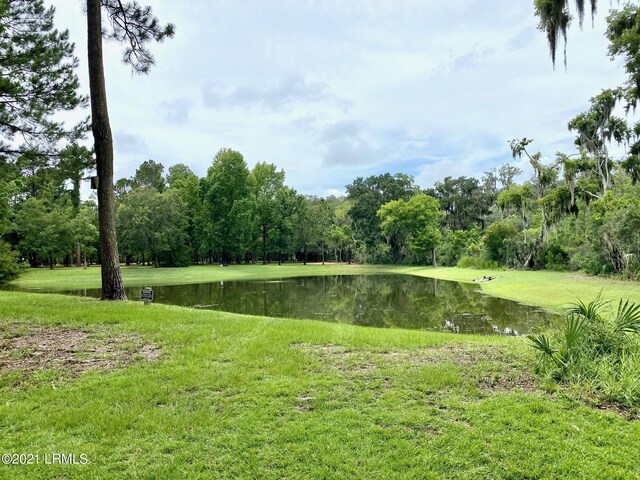 695 Distant Island Dr, Beaufort, SC 29907 - photo 3