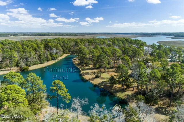 695 Distant Island Dr, Beaufort, SC 29907 - photo 22