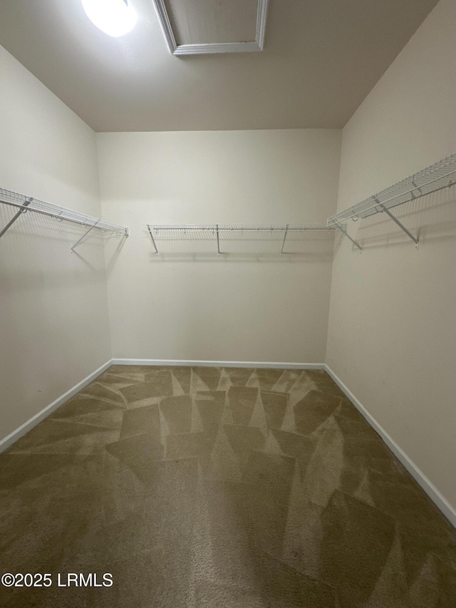 3 Enoree Way, Beaufort, SC 29906 - spacious closet with carpet flooring