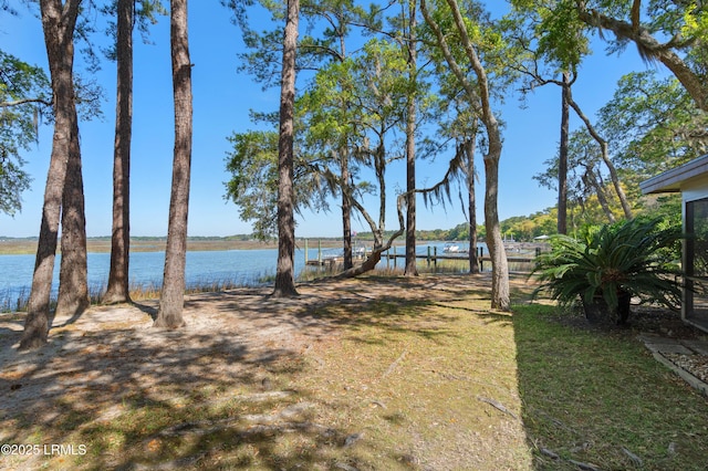 4 Marsh Harbor Dr Unit A, Beaufort, SC 29907 - photo 9
